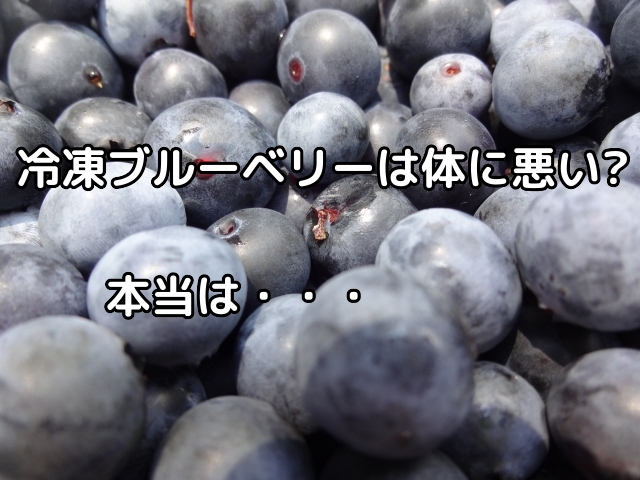 冷凍ブルーベリーは体に悪い 食べ過ぎは太る カロリーやセブンのブルーベリーの栄養も 生活 料理 行事