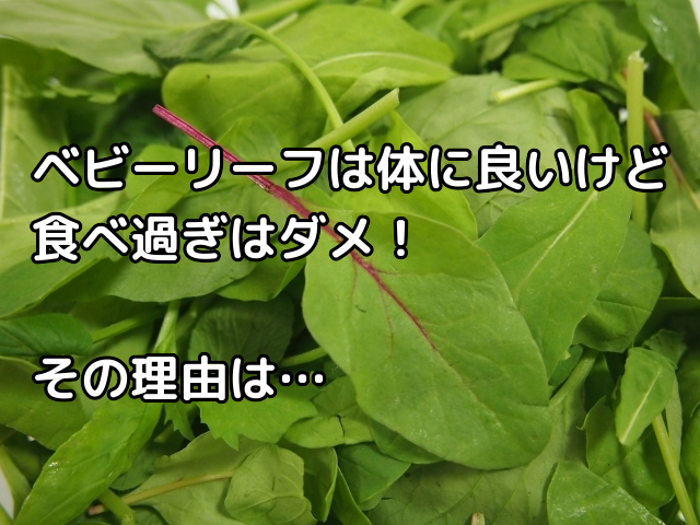 ベビーリーフは体に悪い 栄養はカロリー 保存方法や期間 種類やサラダ以外の食べ方も 生活 料理 行事